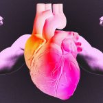 The 4 Main Risk Factors for Heart Disease