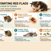 Why Is My Cat Vomiting? 4 Urgent Signs to Visit the Vet