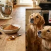 Can Dogs Have Cinnamon?
